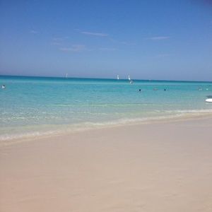 Meet your Posher, Emi